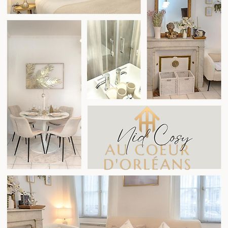 Apartamento Le Nid Cosy -Au Coeur D'Orléans Exterior foto
