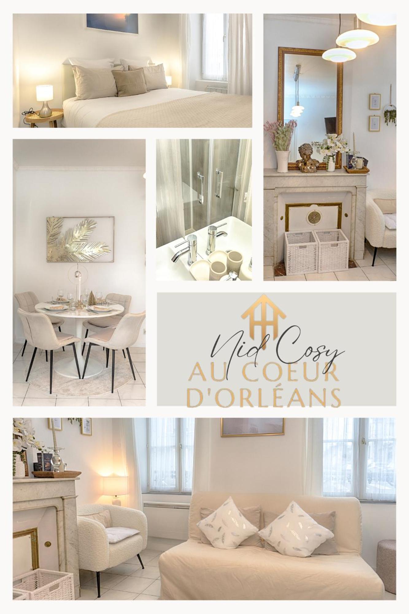Apartamento Le Nid Cosy -Au Coeur D'Orléans Exterior foto
